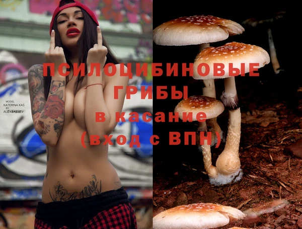 шишки Богданович